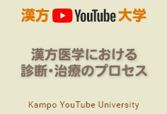漢方医学における診断・治療のプロセス